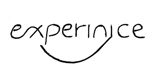 horrible-logos-experinice