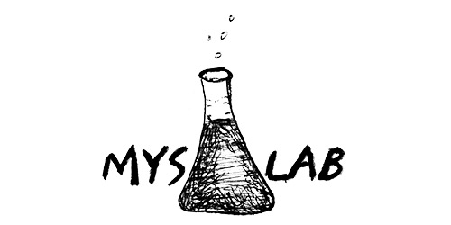 horrible-logos-myslab